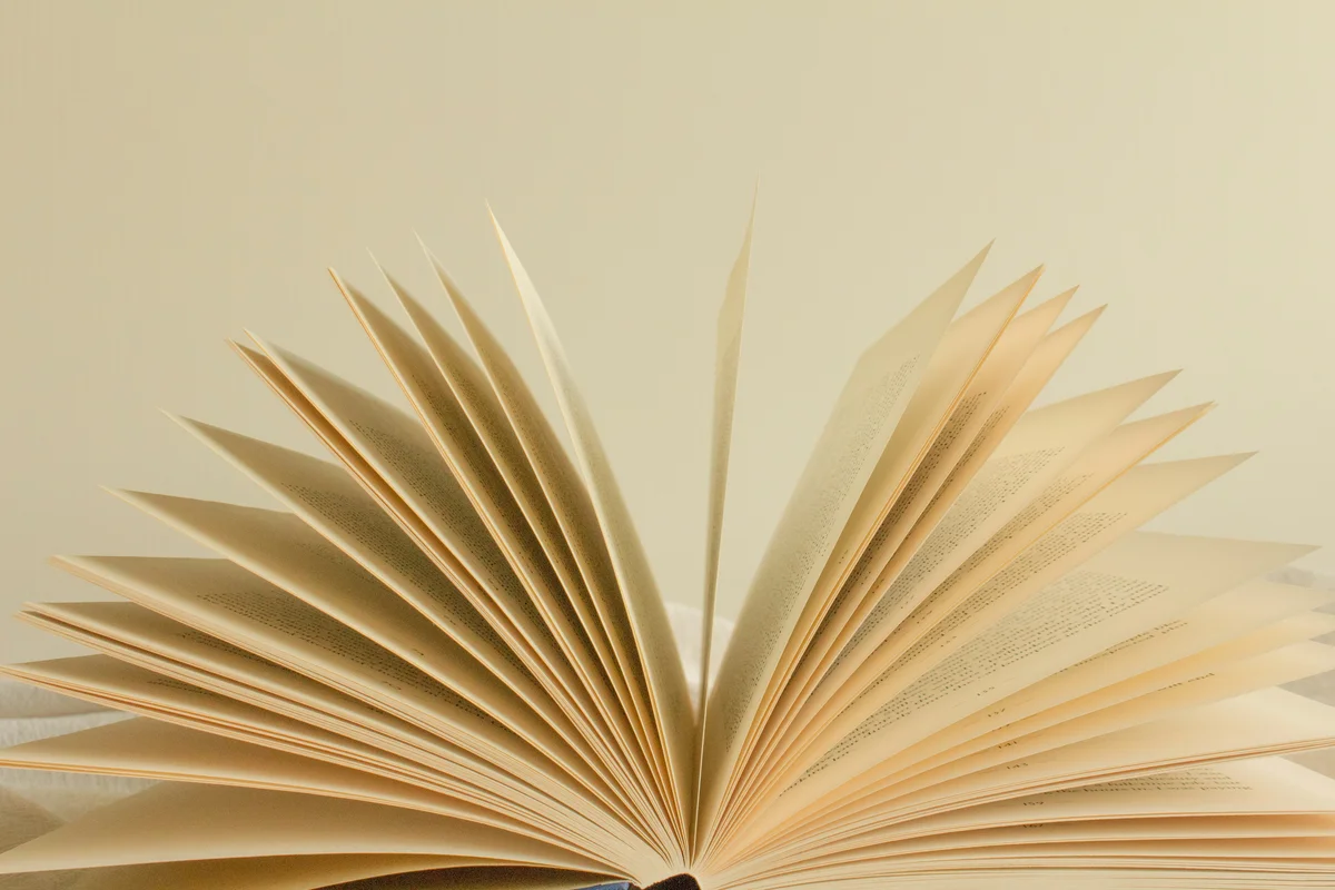 6 Books with Mind-Bending Plot Twists cover image