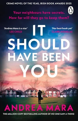 It Should Have Been You by Andrea Mara book cover